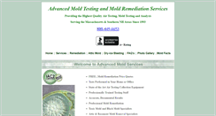 Desktop Screenshot of mold-removal-remediation-testing-inspections-ma.com